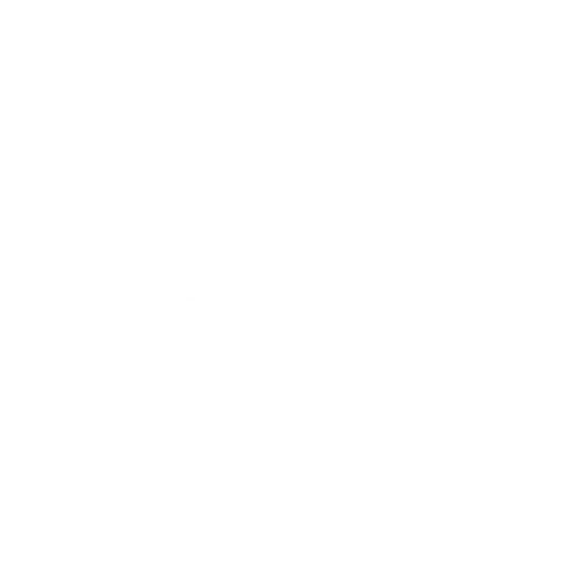 explicaciones sencillas.